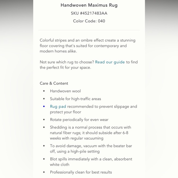 LAST ONE 🔥Blue Ombre Stripe Maximus Rug - Picture 3 of 11